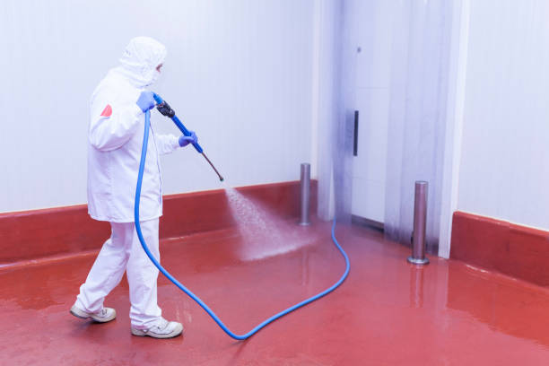 Best Warehouse Cleaning  in USA